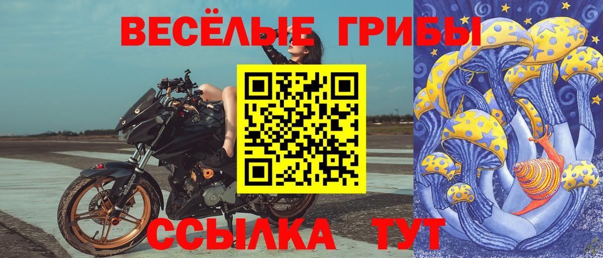 Губаха  Галлюциногенные грибы MAGIC MUSHROOMS  Вход с VPN 