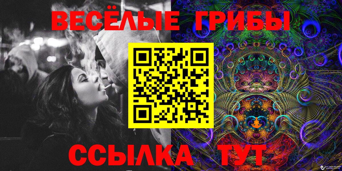 Галлюциногенные грибы Cubensis Губаха